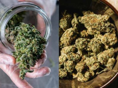 THCA vs THC – What’s The&nbsp;Difference?