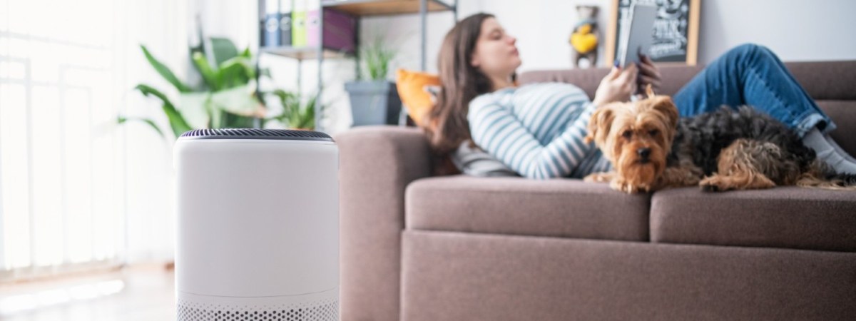 How to Improve Indoor Air Quality at&nbsp;Home